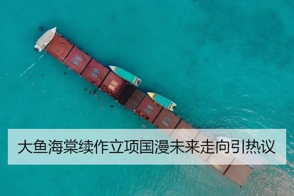 大鱼海棠续作立项国漫未来走向引热议