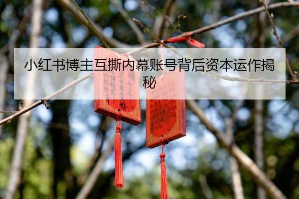 小红书博主互撕内幕账号背后资本运作揭秘